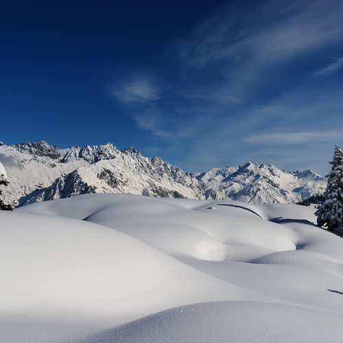 Winterparadies vor der Appartementtür: Alpenstolz Damüls